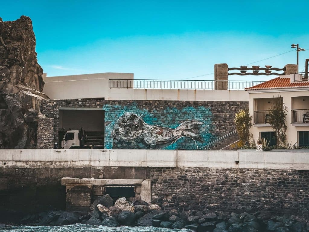 Ein großes Wandbild an einer Steinmauer über dem Wasser: eine Mönchsrobbe in Türkistönen aus Altmetall im Stil des Künstlers Bordalo II, links eine Felsklippe.