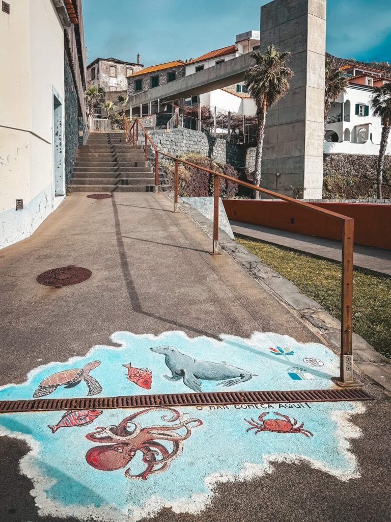 Ein buntes Bodenbild mit Mönchsrobbe, Krake, Meeresschildkröte, Fisch und Krabbe und dem Schriftzug „O mar começa aqui!“, dahinter Stufen und die Häuser des Ortes.