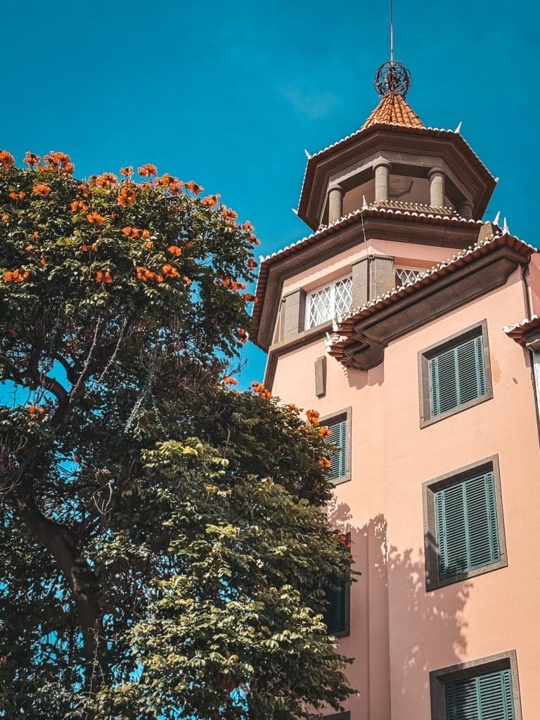 Ein Gebäude mit Turm und ein blühender Baum im Zentrum von Funchal