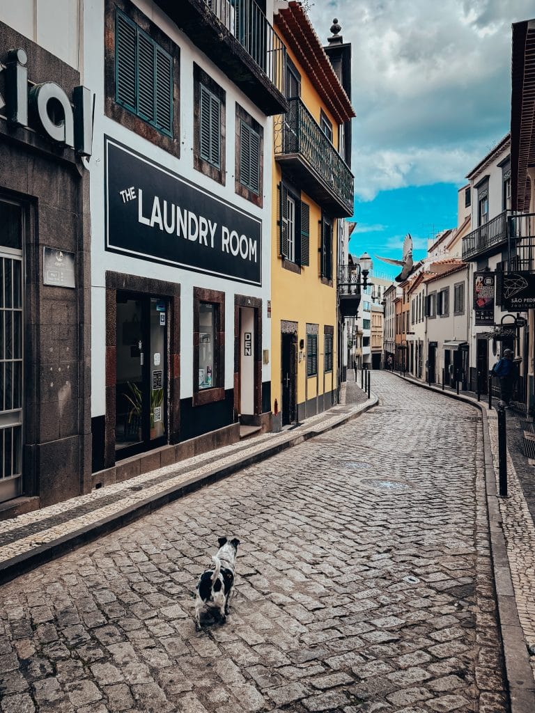 Eine gepflasterte Gasse im Zentrum von Funchal