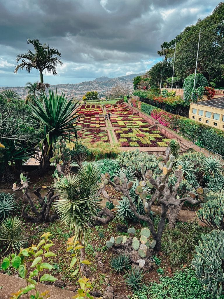 Jardim Botânico – der Botanische Garten in Funchal, Foto: Ewelina Podrez-Siama 2023
