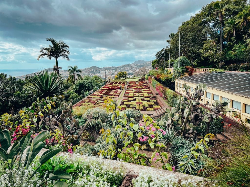 Jardim Botânico – der Botanische Garten in Funchal, Foto: Ewelina Podrez-Siama 2023