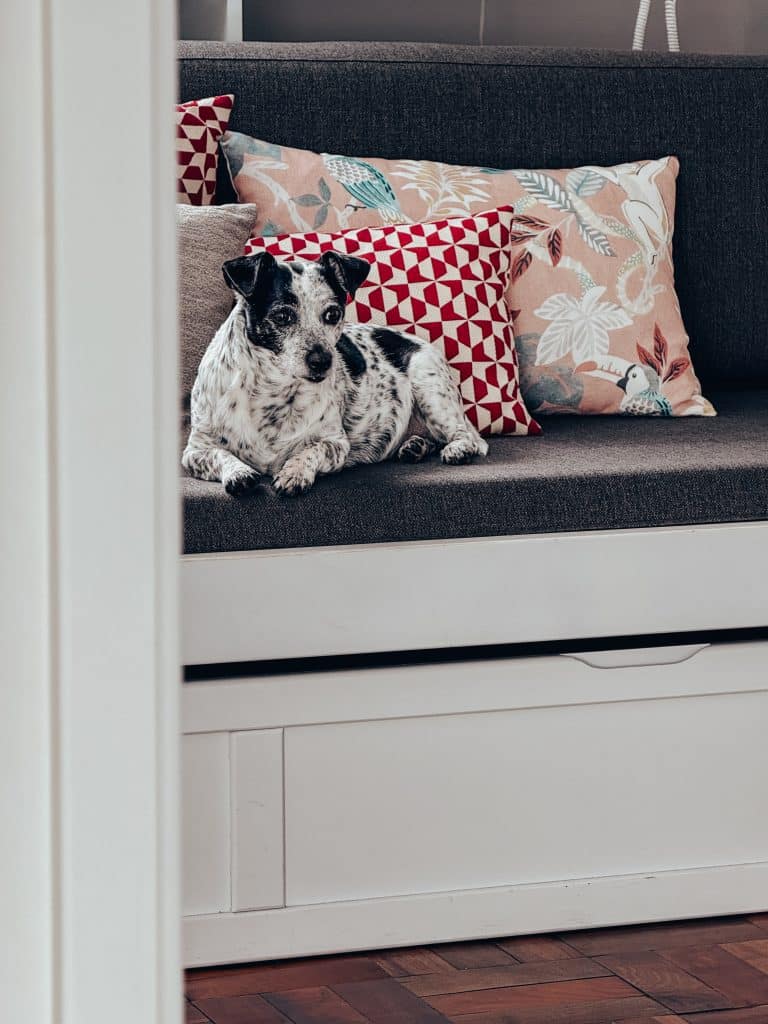 Hundefreundliche Apartments in Funchal – ASPA Studios, Foto: Ewelina Podrez-Siama 2025