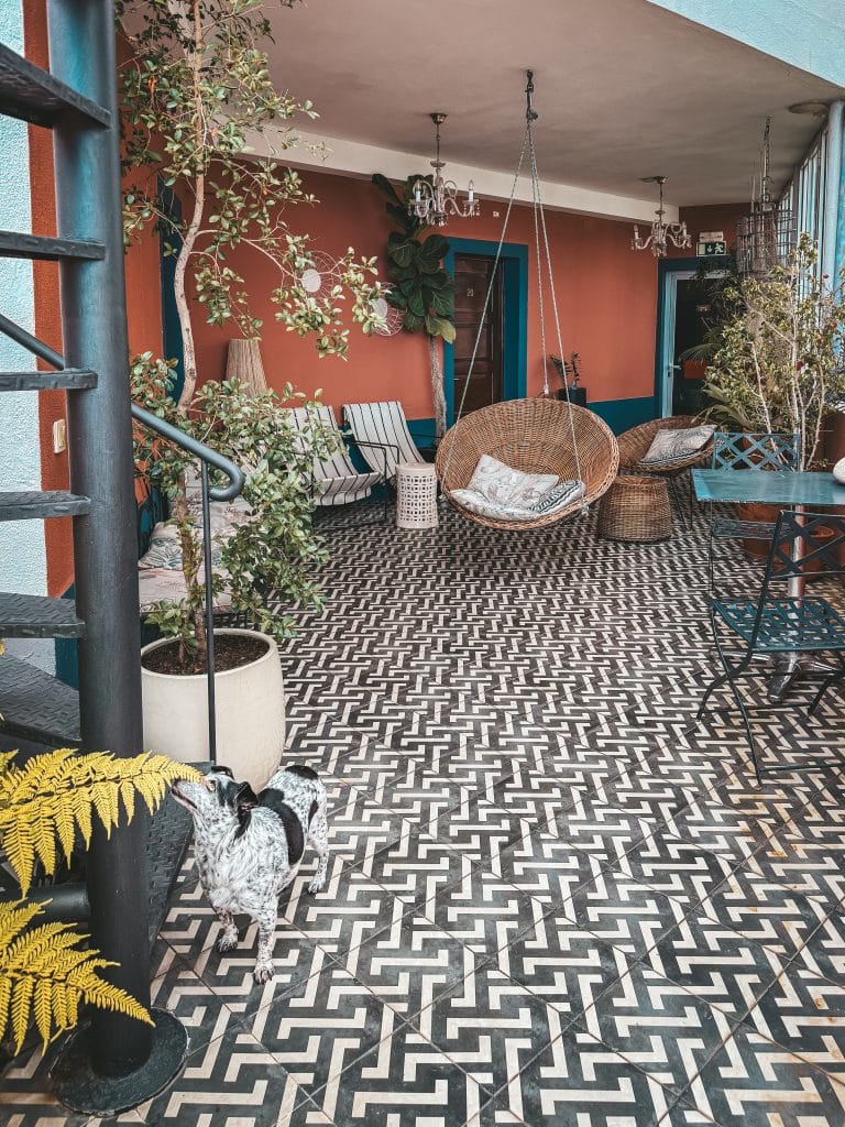Hundefreundliche Apartments in Funchal – ASPA Studios, Foto: Ewelina Podrez-Siama 2025