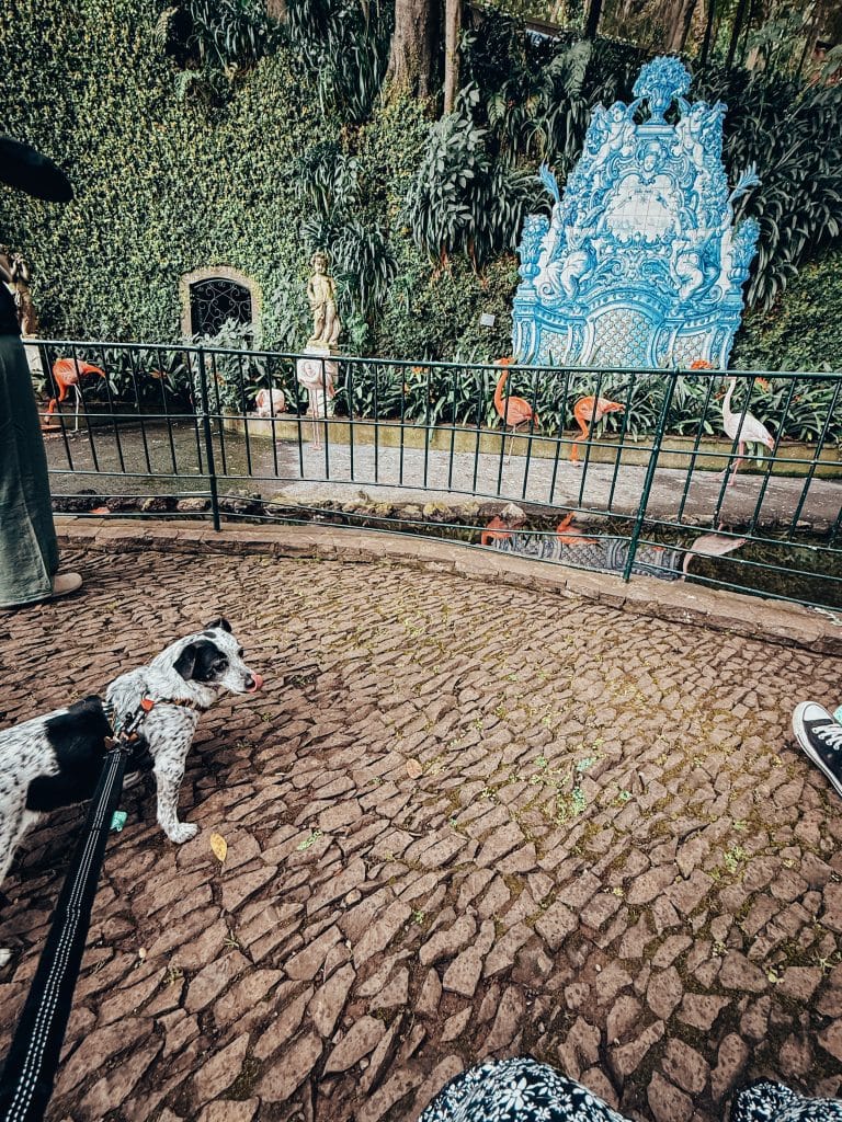 Monte Palace mit Hund