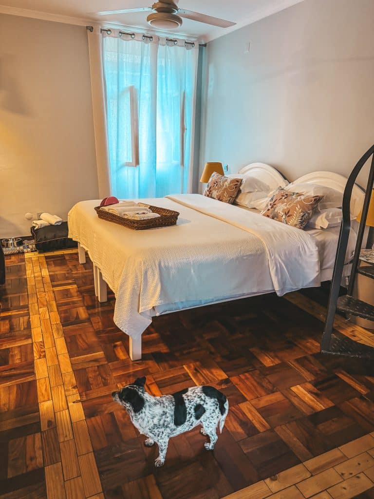 Hundefreundliche Apartments in Funchal – ASPA Studios, Foto: Ewelina Podrez-Siama 2025
