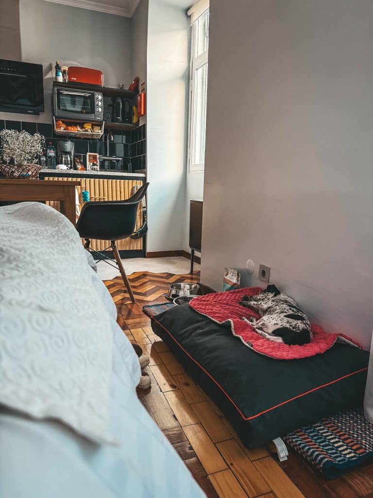 Hundefreundliche Apartments in Funchal – ASPA Studios, Foto: Ewelina Podrez-Siama 2025