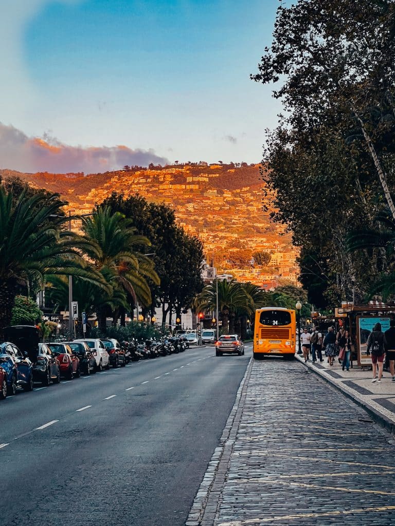 Eine Allee in Funchal mit einem gelben Stadtbus im Abendlicht