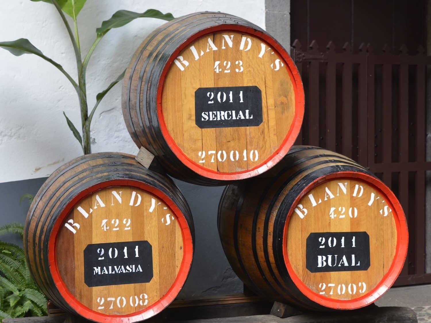 Madeirawein