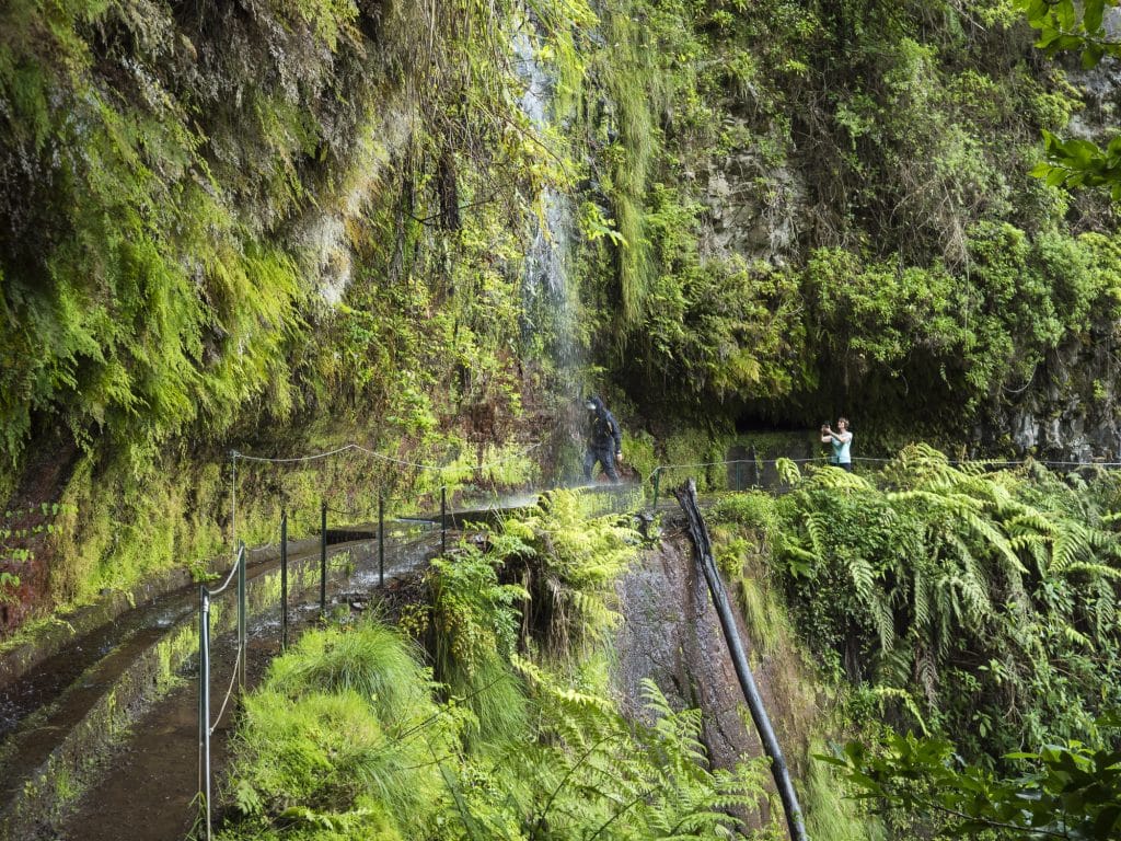 Levada do Rei
