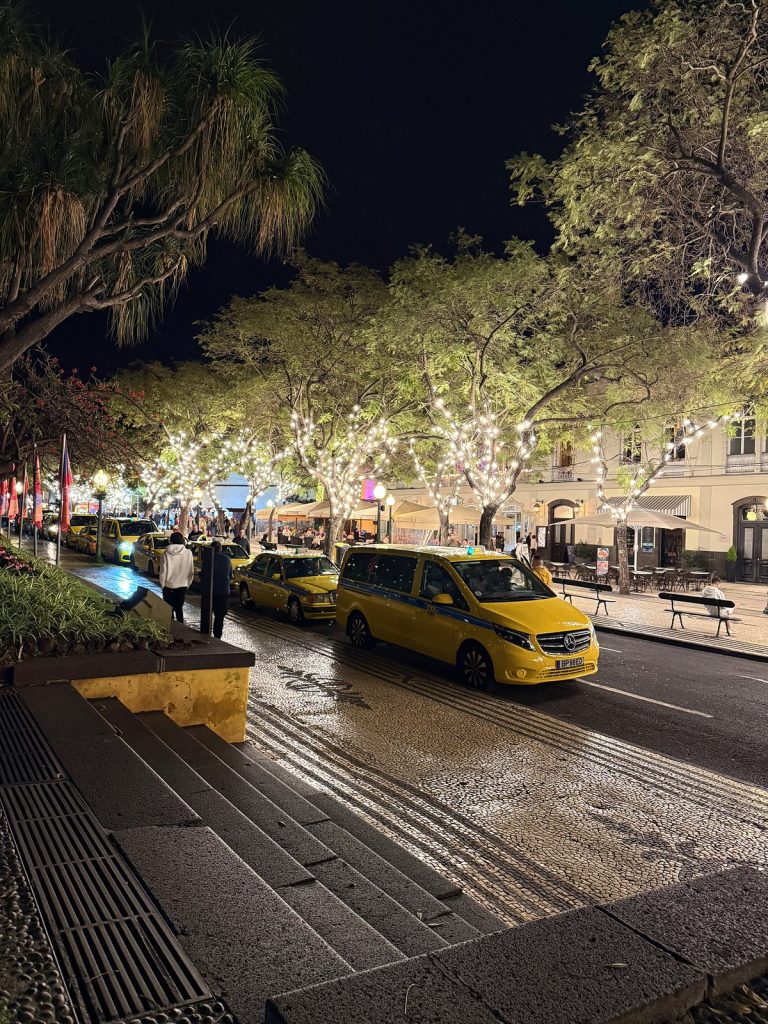 Eine Allee mit Bäumen voller weißer Lichterketten, gelbe Taxis auf der nassen Straße und ein breiter Gehweg am Abend
