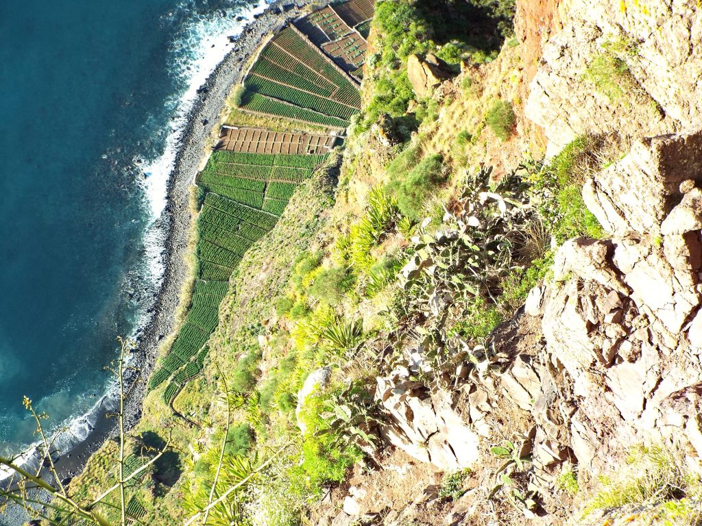 Terrassenfelder auf den Fajãs am Fuß des Cabo Girão von oben
