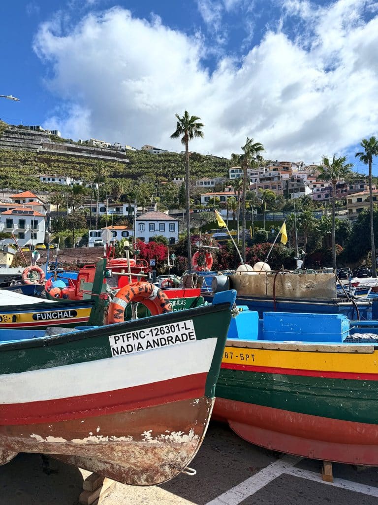 Die Buge bunter Fischerboote in Câmara de Lobos