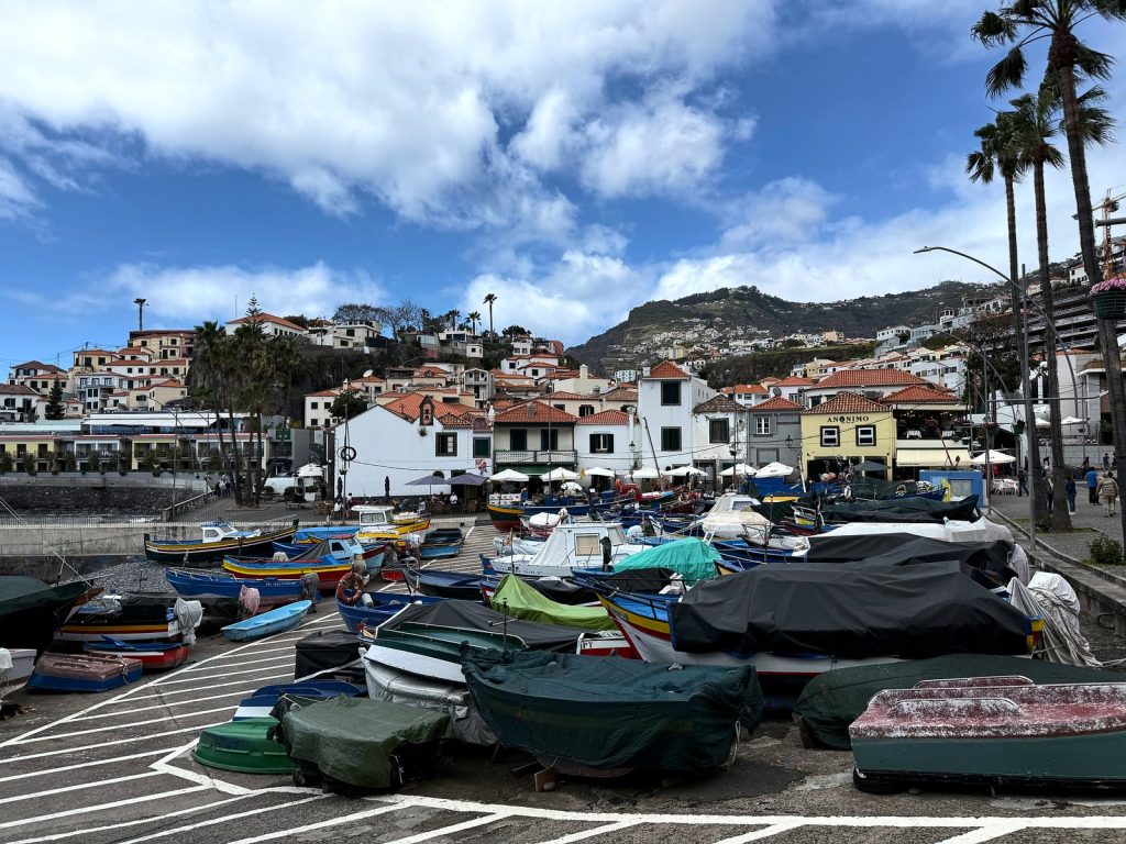 Bunte Fischerboote unter Planen am Kai von Câmara de Lobos, dahinter weiße Häuser, Palmen und ein Hang