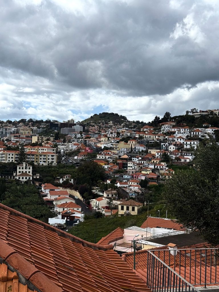 Rote Dachziegel im Vordergrund und Häuser am Hang über Funchal unter bewölktem Himmel