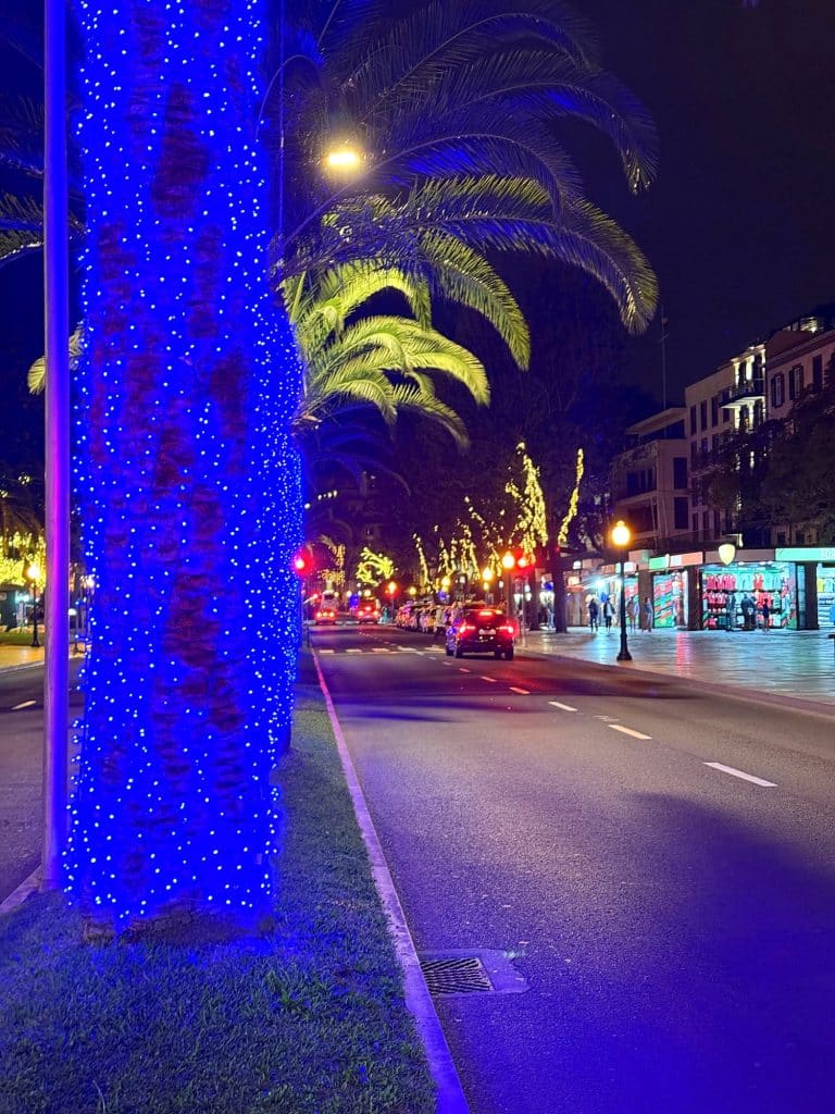 Palmen mit blauen Lichterketten an einer Allee in Funchal bei Nacht