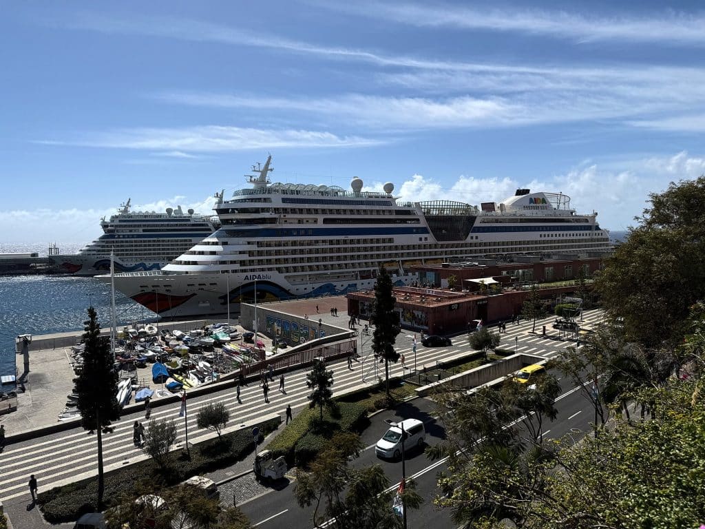 Der Hafen von Funchal mit Kreuzfahrtschiffen, von einem Park oberhalb der Uferpromenade gesehen