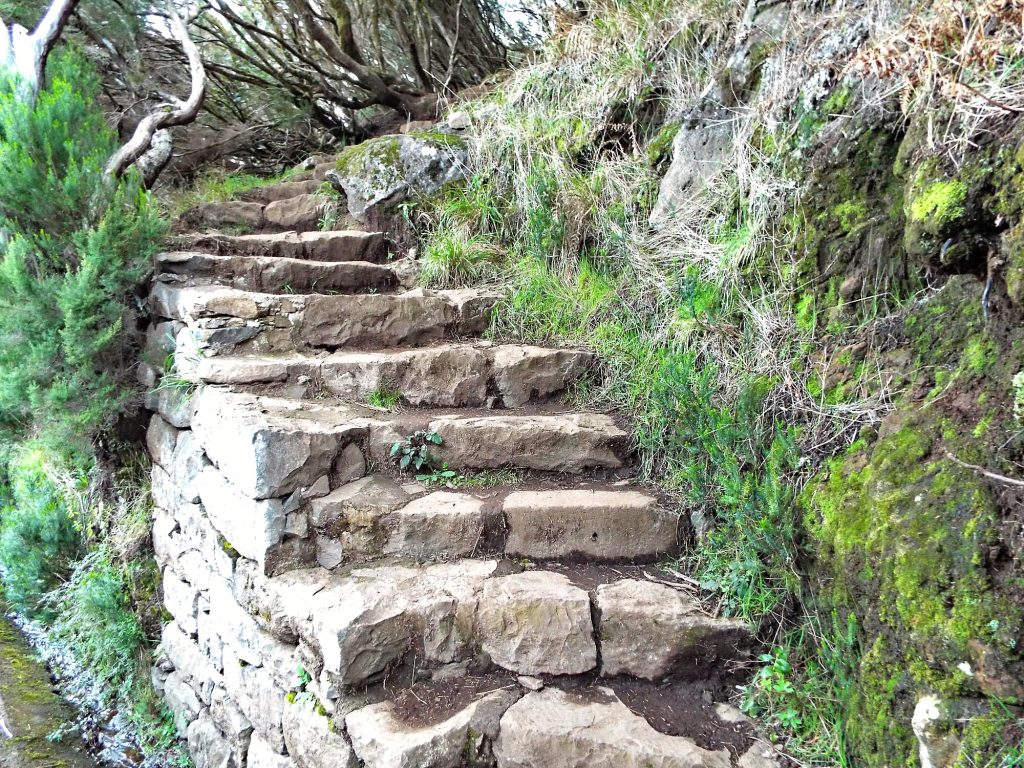 Steinstufen am Weg im Lorbeerwald von Rabaçal
