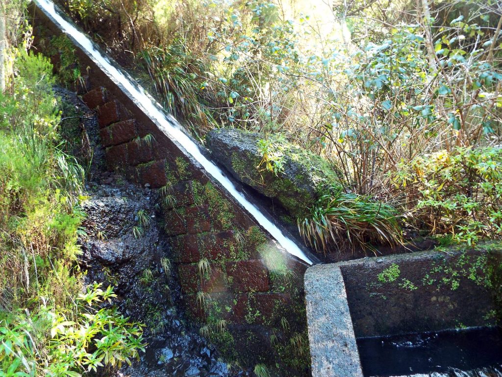 Wasser schießt eine steile Rinne hinunter in einen steinernen Levada-Kanal zwischen Farnen und Sträuchern