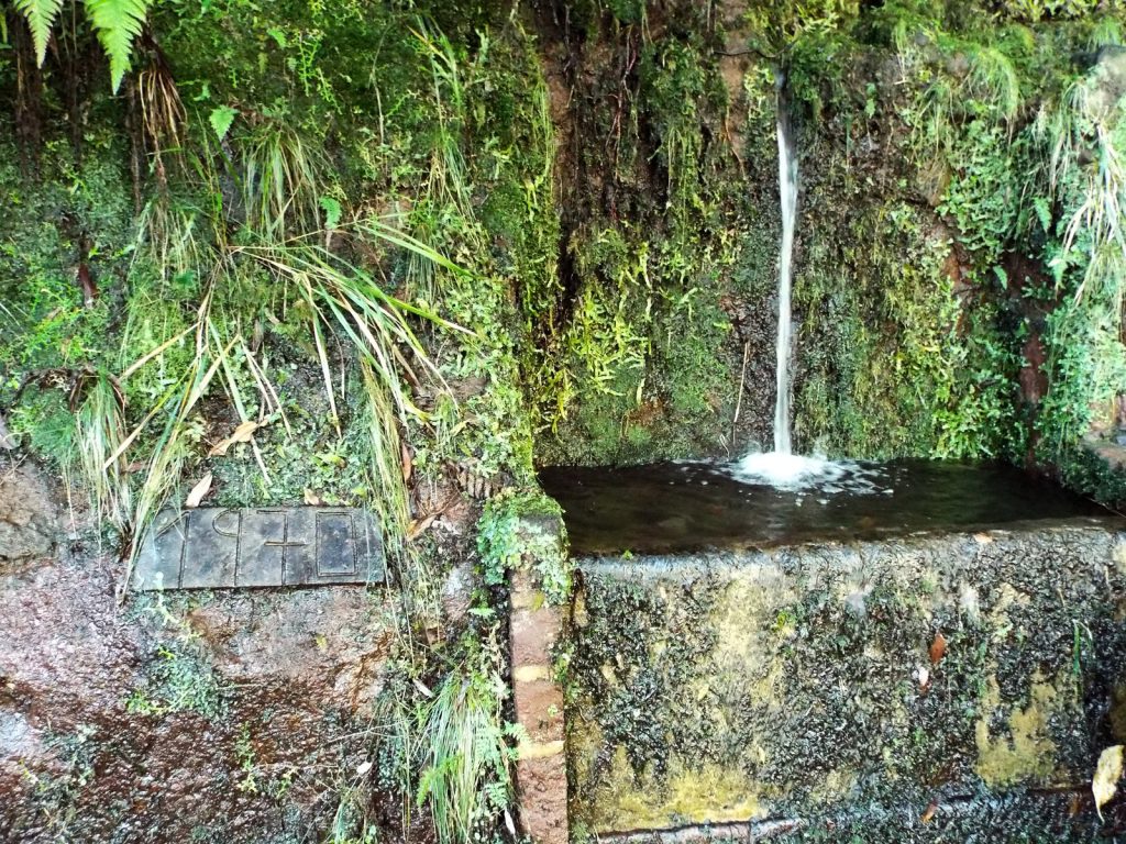 Ein Wasserstrahl fällt in ein steinernes Levada-Becken, die Wand ist mit Moos, Farnen und Gräsern bewachsen