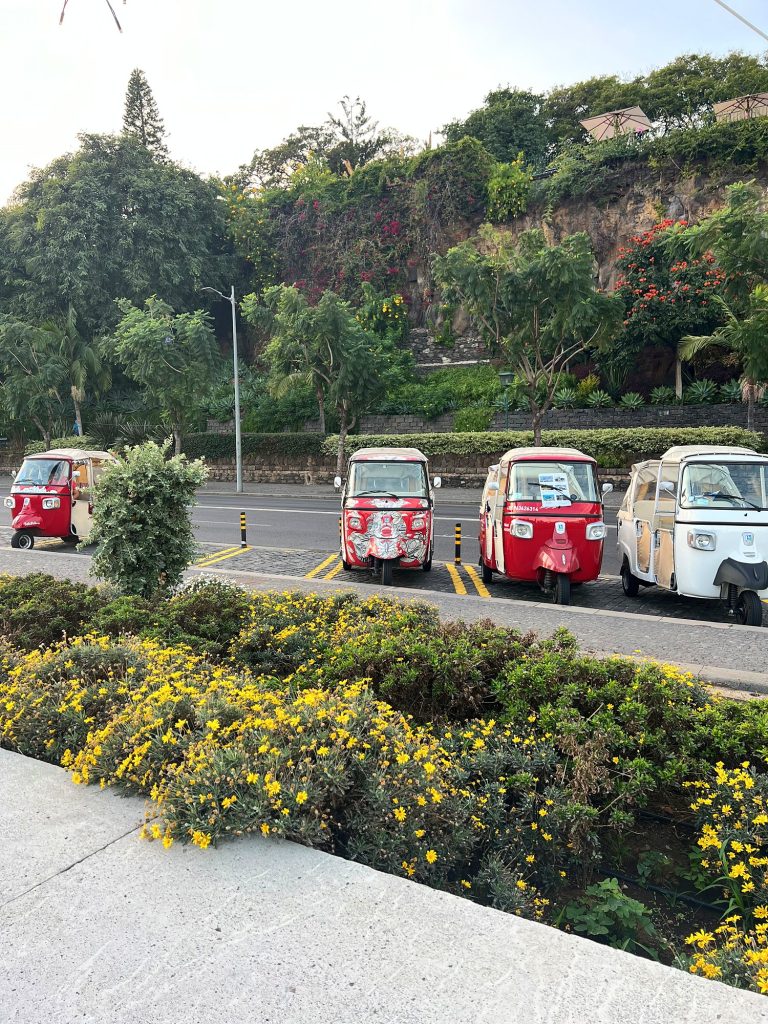 Rot-weiße Tuk-Tuks parken an einer Straße in Funchal, im Vordergrund Sträucher mit gelben Blüten