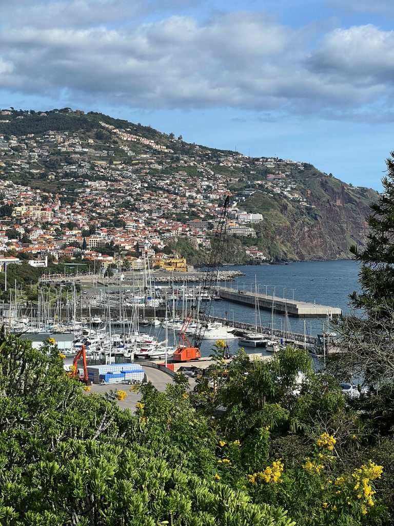 Blick vom Parque de Santa Catarina auf den Jachthafen und Funchal an den Hängen, darunter gelb blühende Sträucher