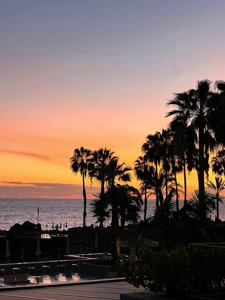 Orangefarbener Himmel über dem Ozean nach Sonnenuntergang, im Vordergrund Silhouetten von Palmen