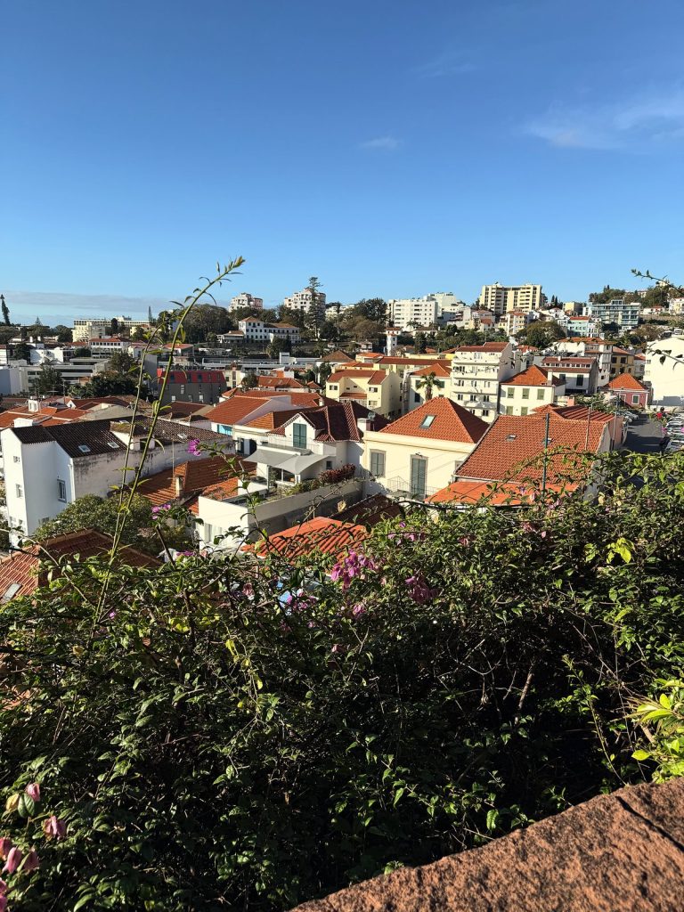 Rote Dächer der Häuser von Funchal und grüne Sträucher in der Morgensonne, von einem Aussichtspunkt über der Stadt gesehen