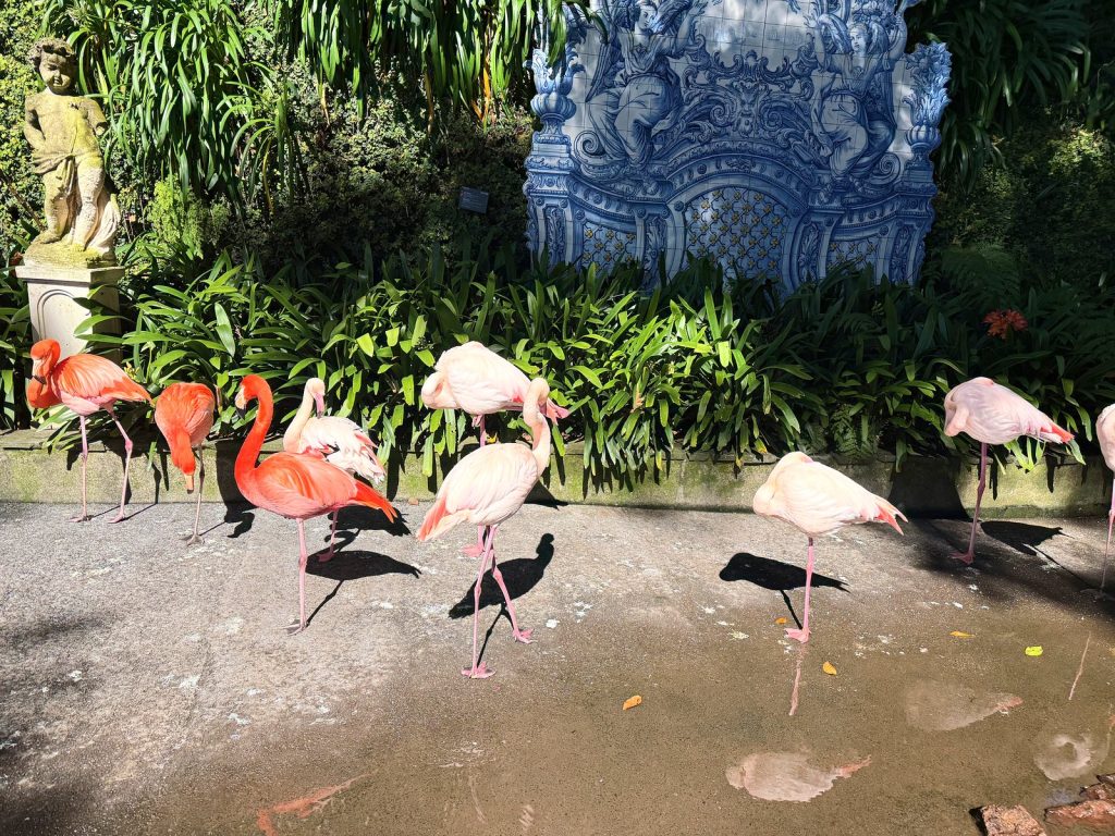 Eine Gruppe rosa Flamingos auf einem kleinen Steinplatz vor einem blau-weißen Azulejo-Bild, umgeben von Grün