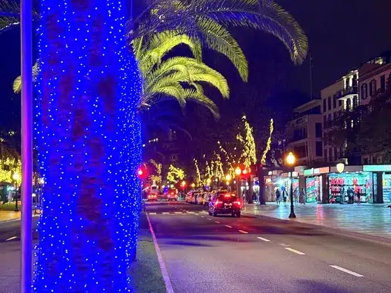 Palmen, umwickelt mit blauen Lichterketten, entlang einer Allee in Funchal bei Nacht