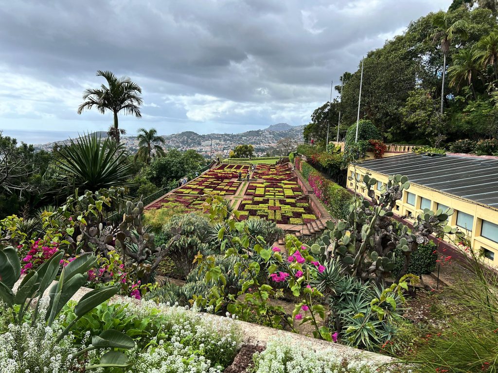 Bunte Blumenbeete und eine Palme im Botanischen Garten von Madeira