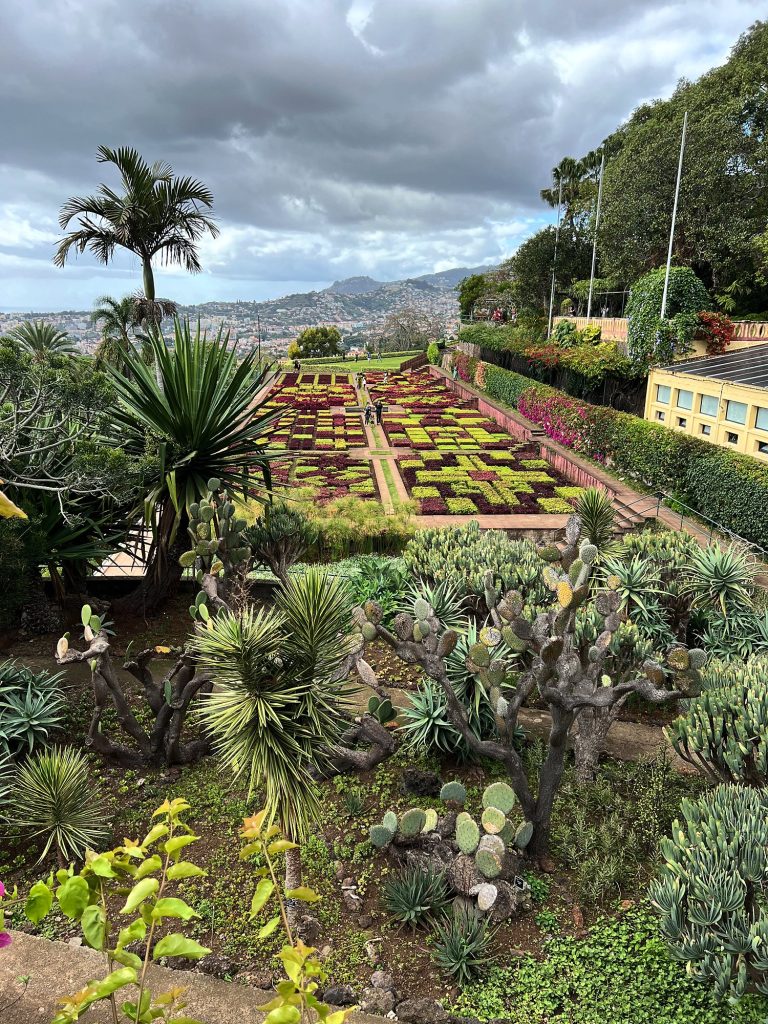Sukkulenten, Agaven und Teppichbeete im Botanischen Garten in Funchal