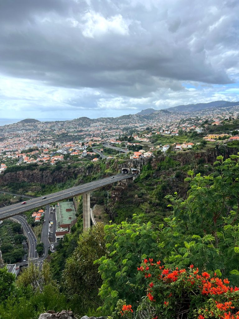 Die Hänge von Funchal mit Häusern, ein Viadukt über einem grünen Tal und orangefarbene Blüten im Vordergrund, unter bewölktem Himmel