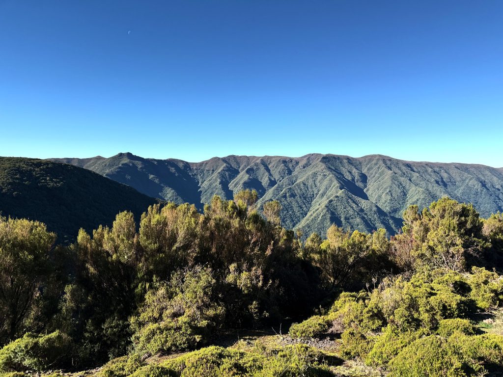Panorama grüner Bergrücken von der Hochebene Paul da Serra unter wolkenlosem Himmel