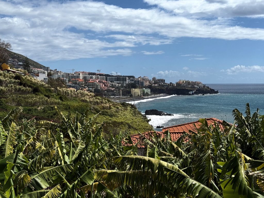 Terrassen mit Bananenstauden an einem Hang über dem Meer, in der Ferne die felsige Küste und die Hotels im Westen von Funchal