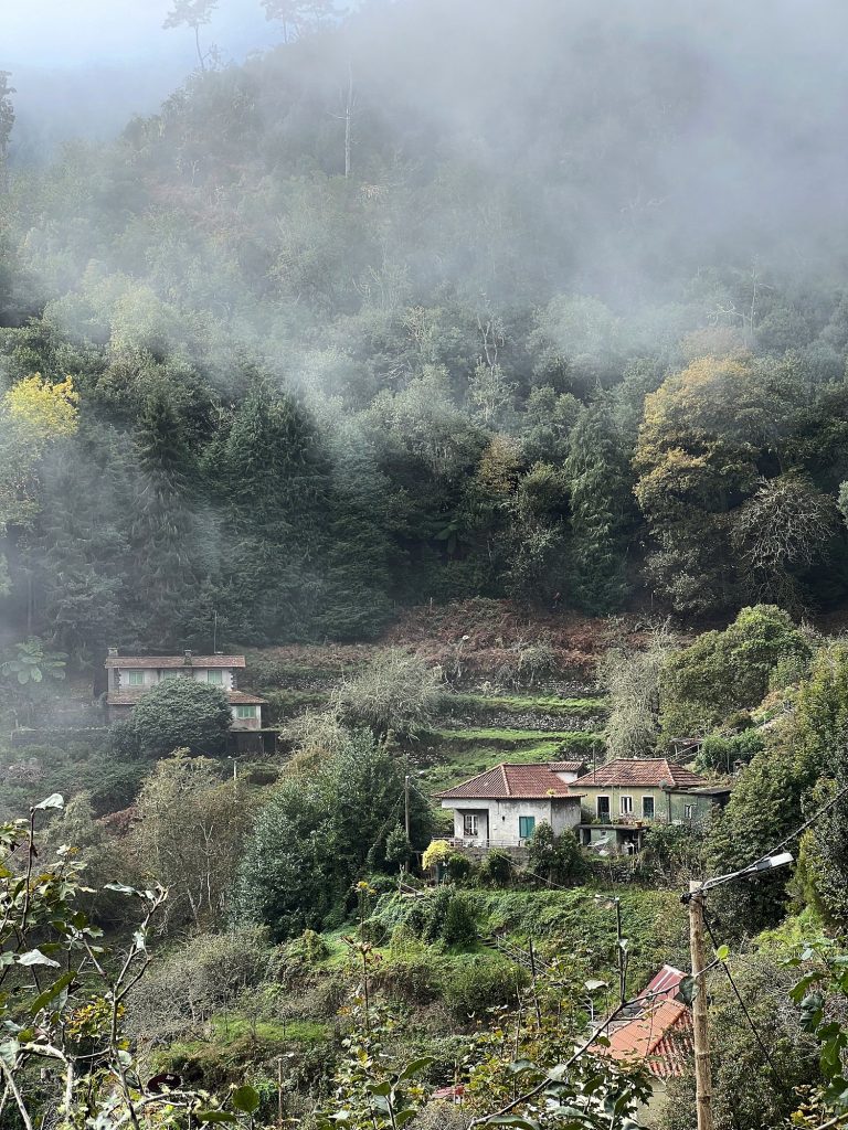 Tal mit Terrassen und Häusern unter einem bewaldeten Hang im Nebel