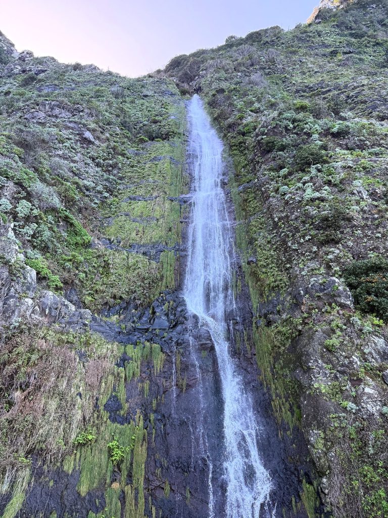 Ein Wasserfall fällt in einer breiten Kaskade über eine moosbewachsene Felswand