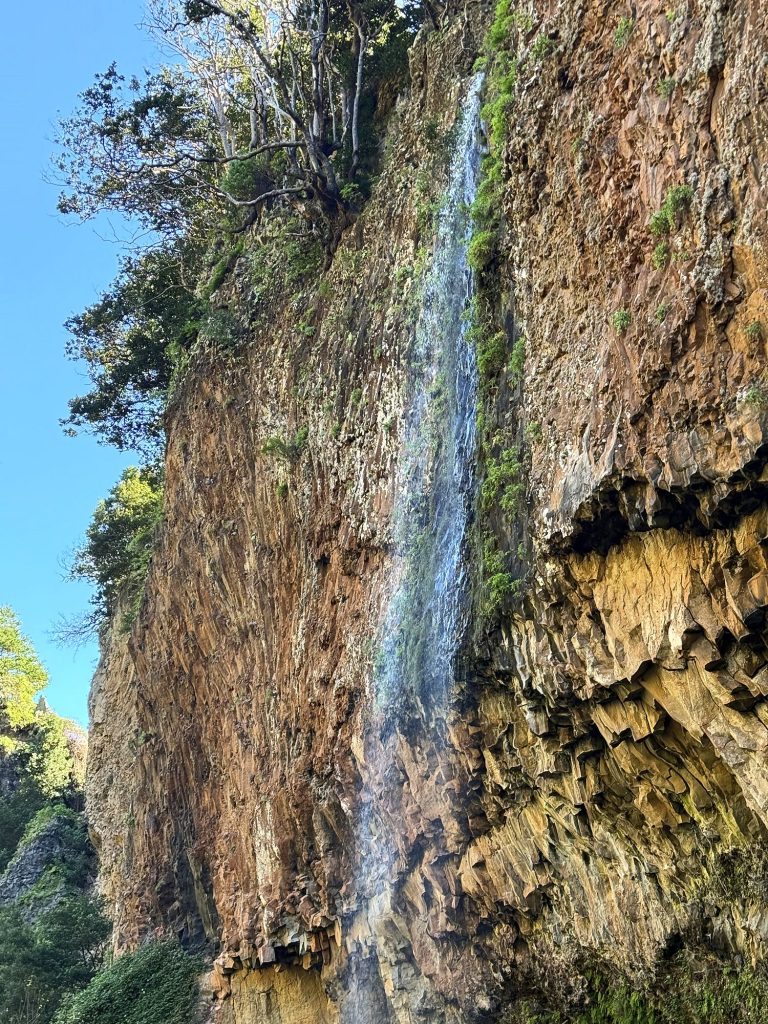 Ein dünner Wasserfall läuft über rostfarbenen Fels mit Basaltsäulen, darüber Bäume und blauer Himmel