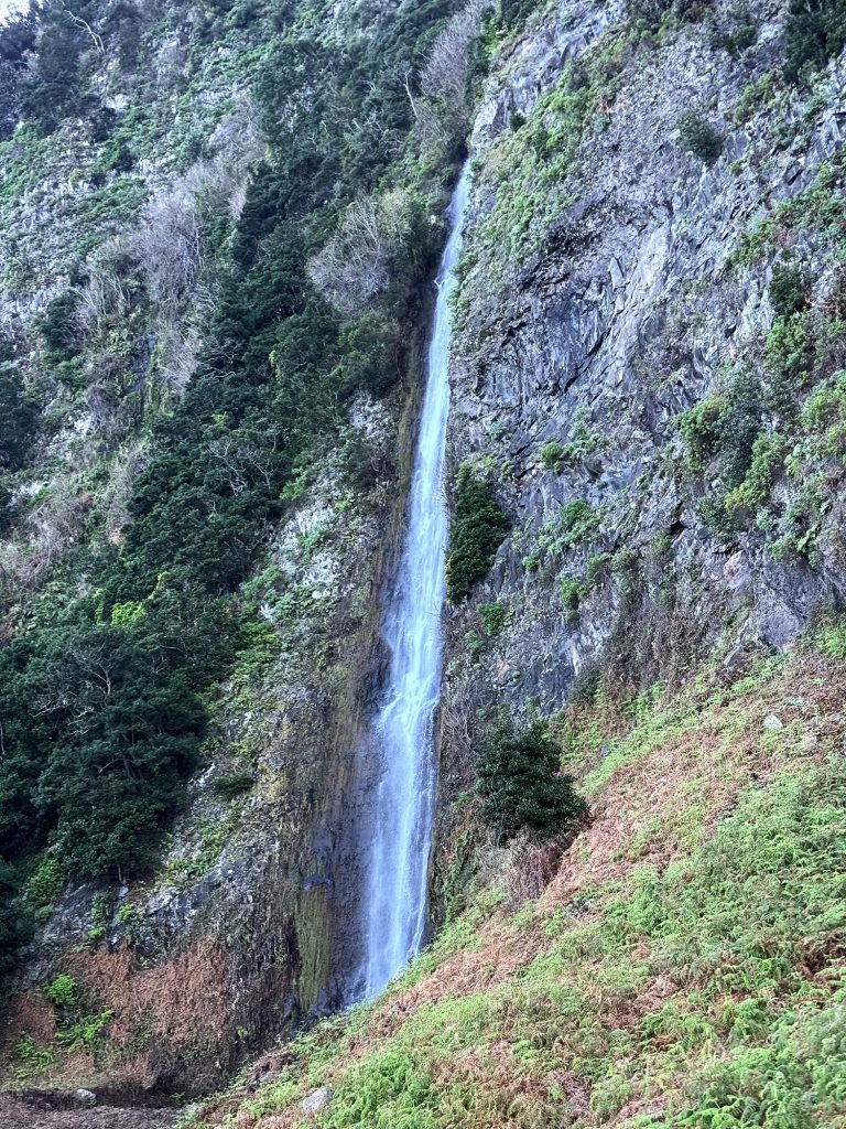 Ein hoher, schmaler Wasserfall stürzt über eine grün-graue Felswand