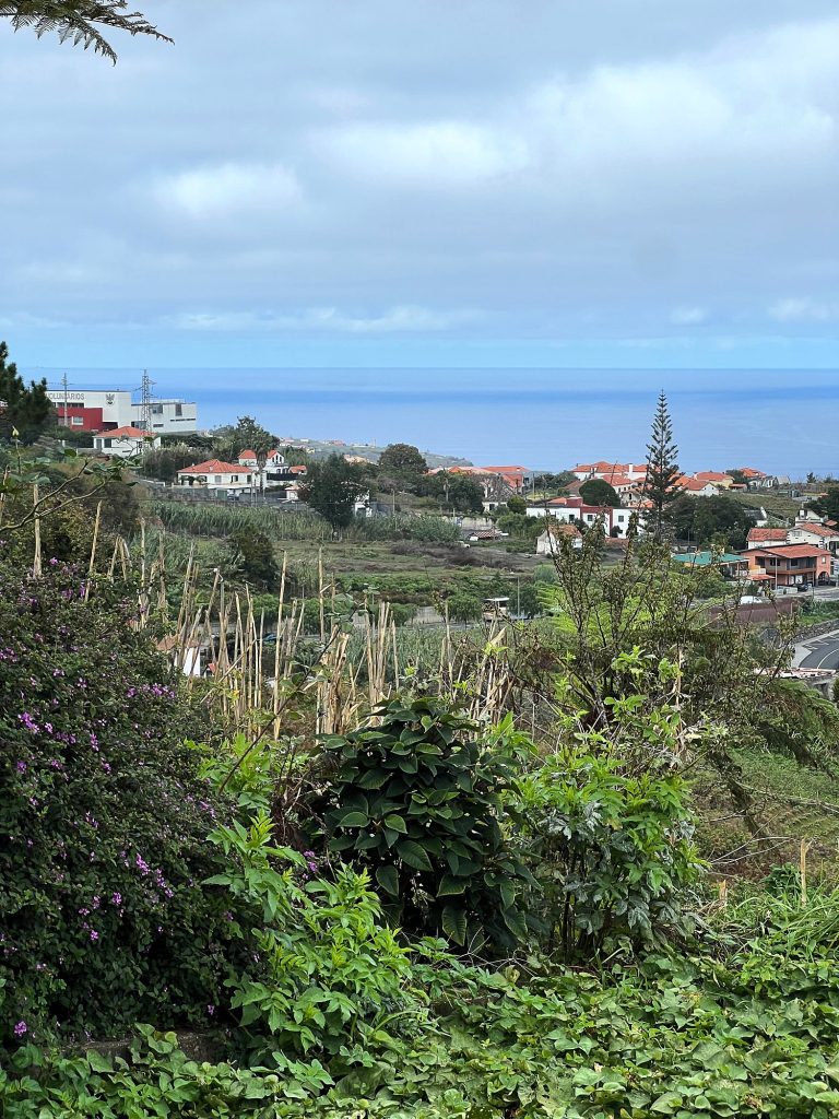 Blick über Felder, Häuser mit roten Dächern und das Meer unter bewölktem Himmel, Sträucher im Vordergrund