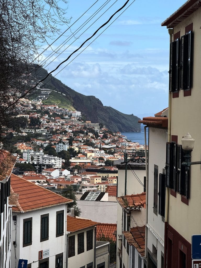 Eine steile Straße führt zwischen Stadthäusern mit grünen Fensterläden bergab, darunter Funchals Dächer, eine grüne Klippe und das Meer