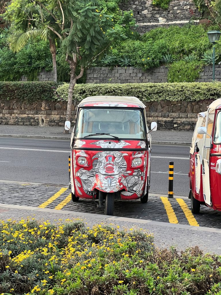 Buntes Tuk-Tuk, geparkt an einem Beet mit gelben Blumen in Funchal
