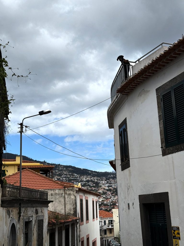 Ein weißes Haus mit grünen Fensterläden und eine Straßenlaterne an einer steilen Gasse, dahinter die bebauten Hänge von Funchal