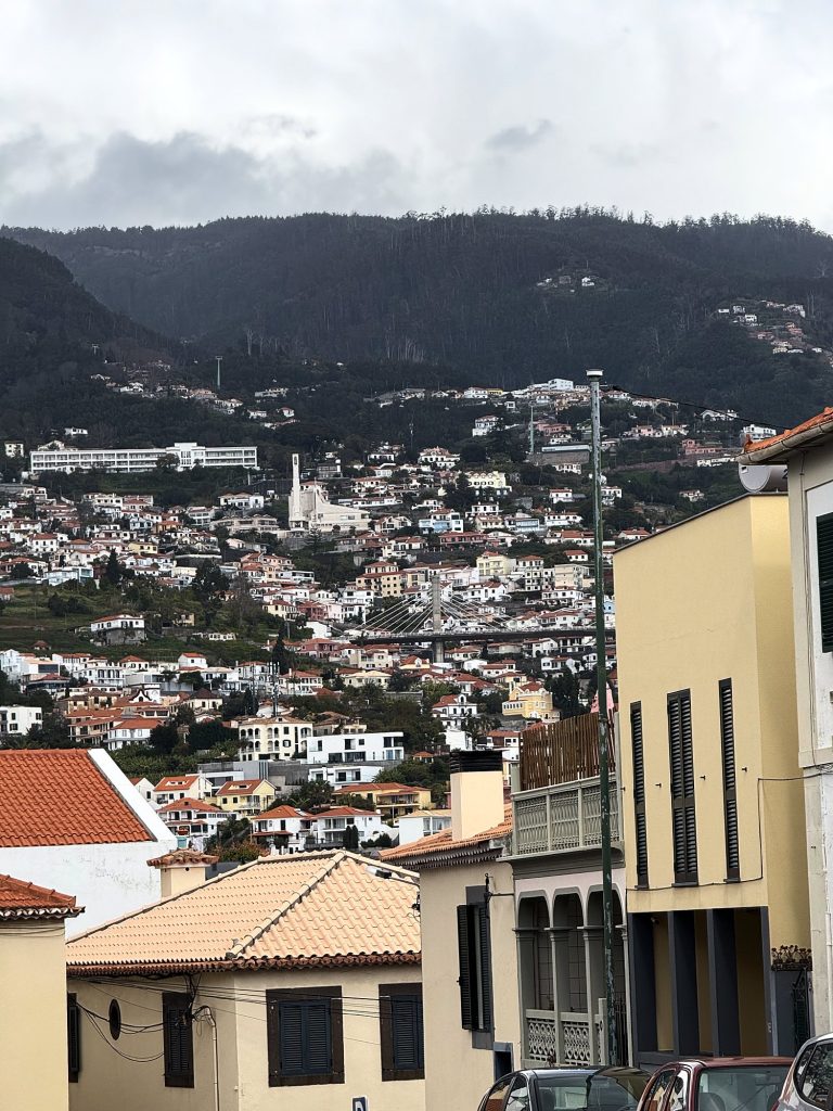 Die Hänge von Funchal unter bewaldeten Bergen, weiße Häuser und eine weiße Kirche am Hang, im Vordergrund gelbe Stadthäuser und ein Dach mit hellen Ziegeln
