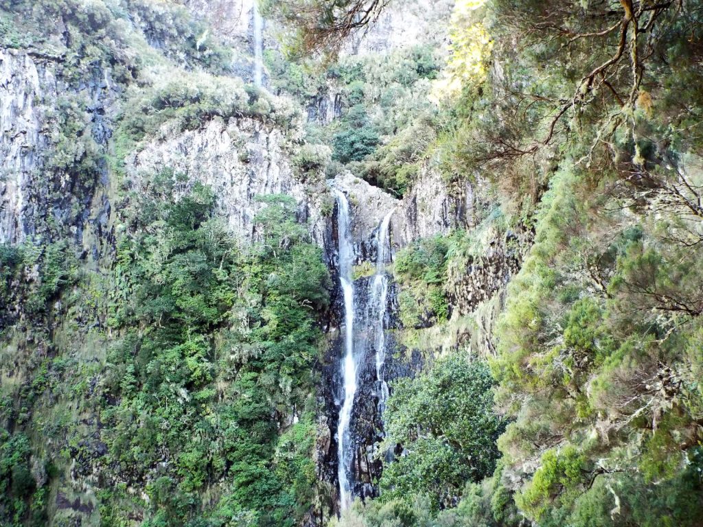 Der Risco-Wasserfall stürzt in mehreren Strahlen über eine senkrechte, bewaldete Felswand