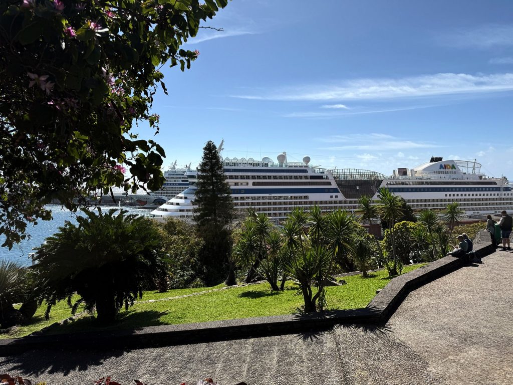 AIDA-Kreuzfahrtschiffe im Hafen von Funchal, gesehen hinter Palmen und dem Rasen des Parks