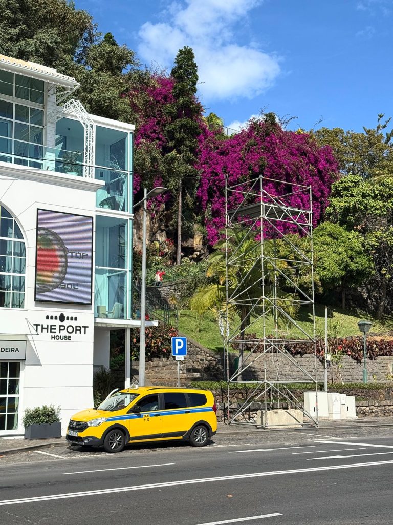 Gelbes Taxi vor dem weißen Gebäude des Port House, darüber blühende lila Bougainvillea