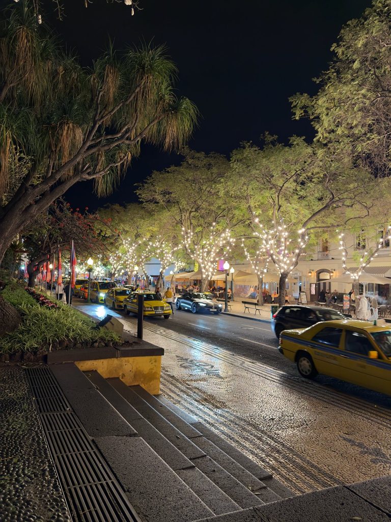 Avenida Arriaga bei Nacht: Bäume mit weißen Lichterketten und gelbe Taxis auf der Straße